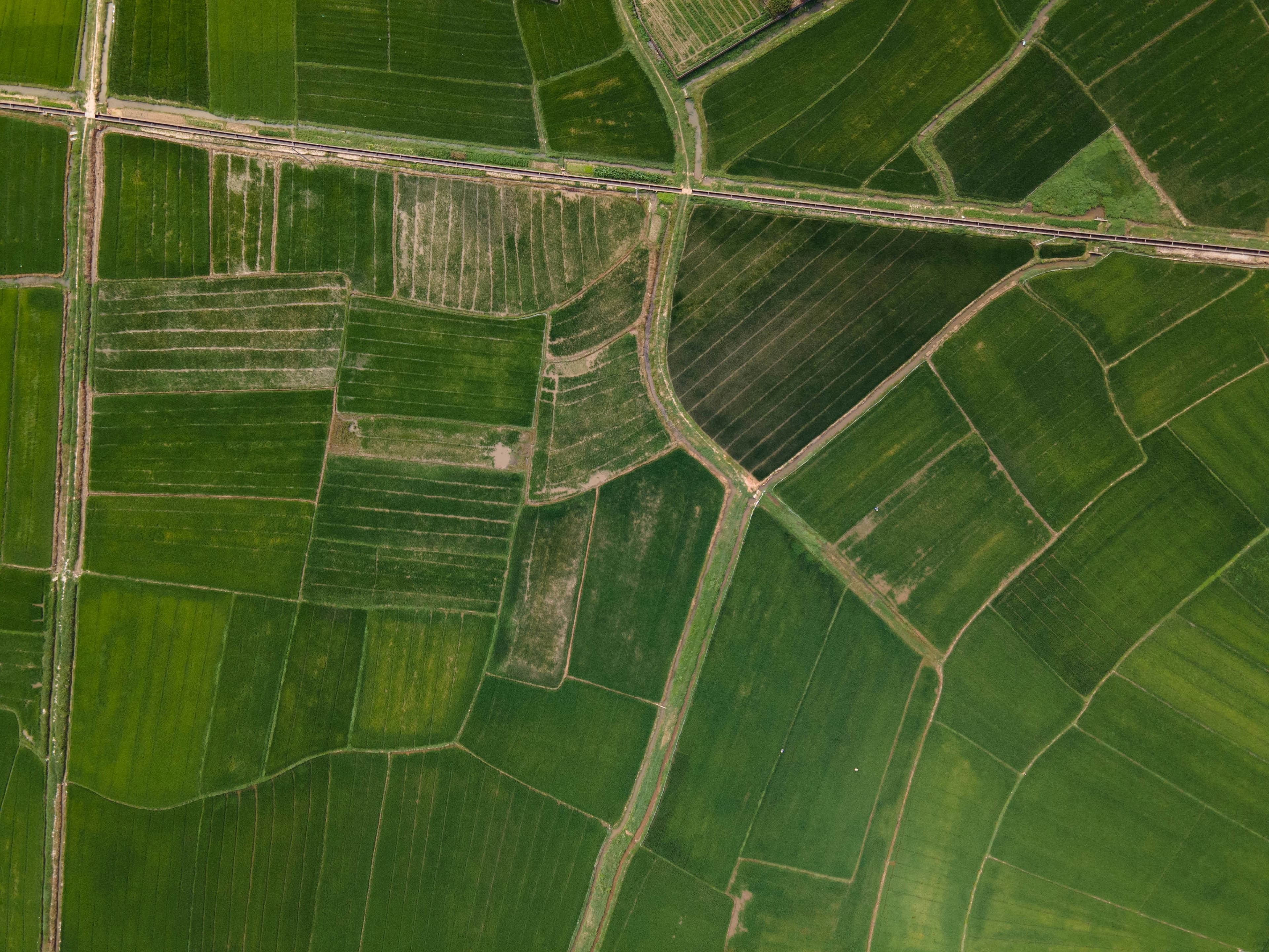 Aerial view of agricultural land plots in Maharashtra